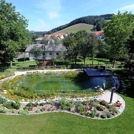 Hotel Geier Bad Schönau Екстериор снимка