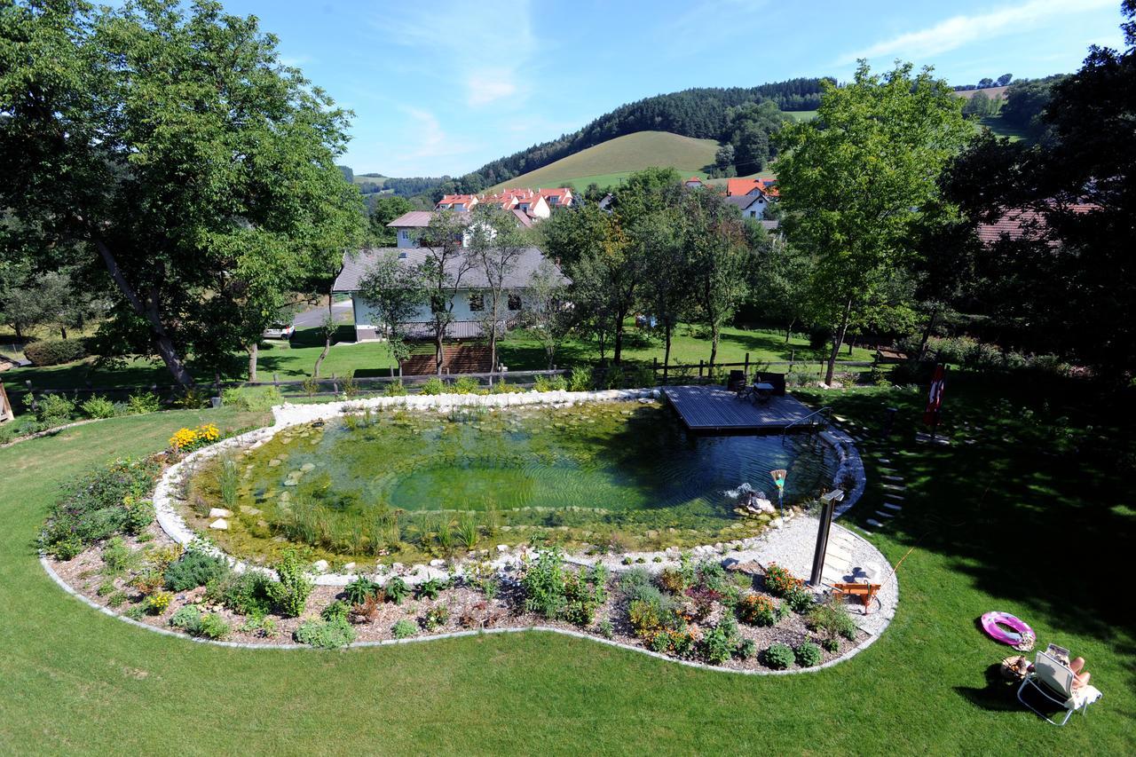 Hotel Geier Bad Schönau Екстериор снимка